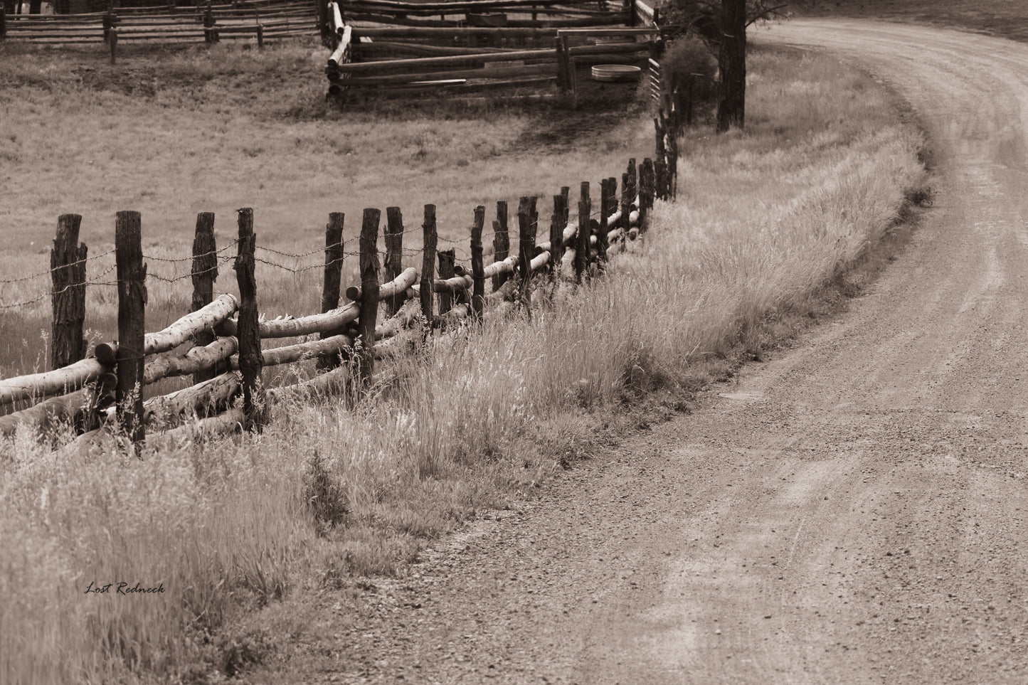 Fence 10