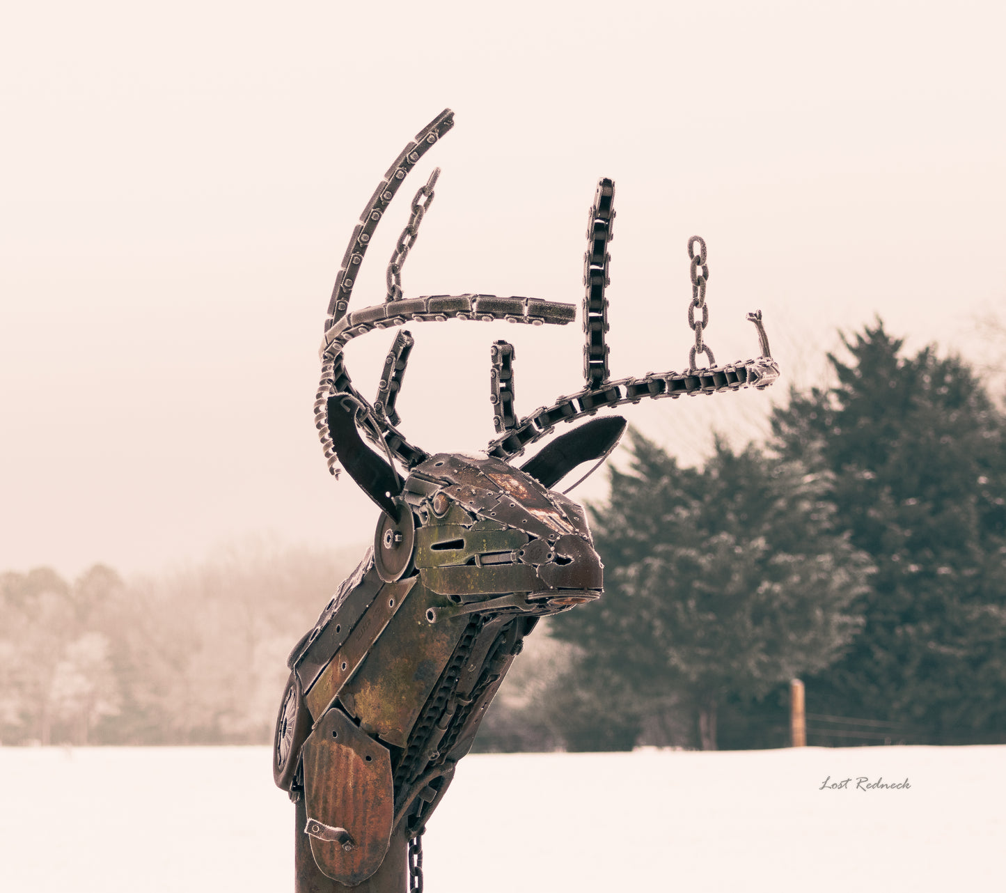 Iron Buck~Prattsville,Arkansas