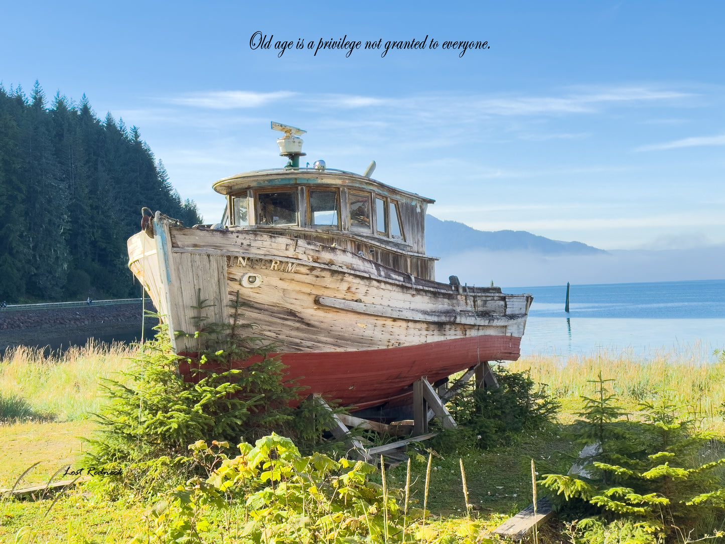 Out to pasture-Inspirational