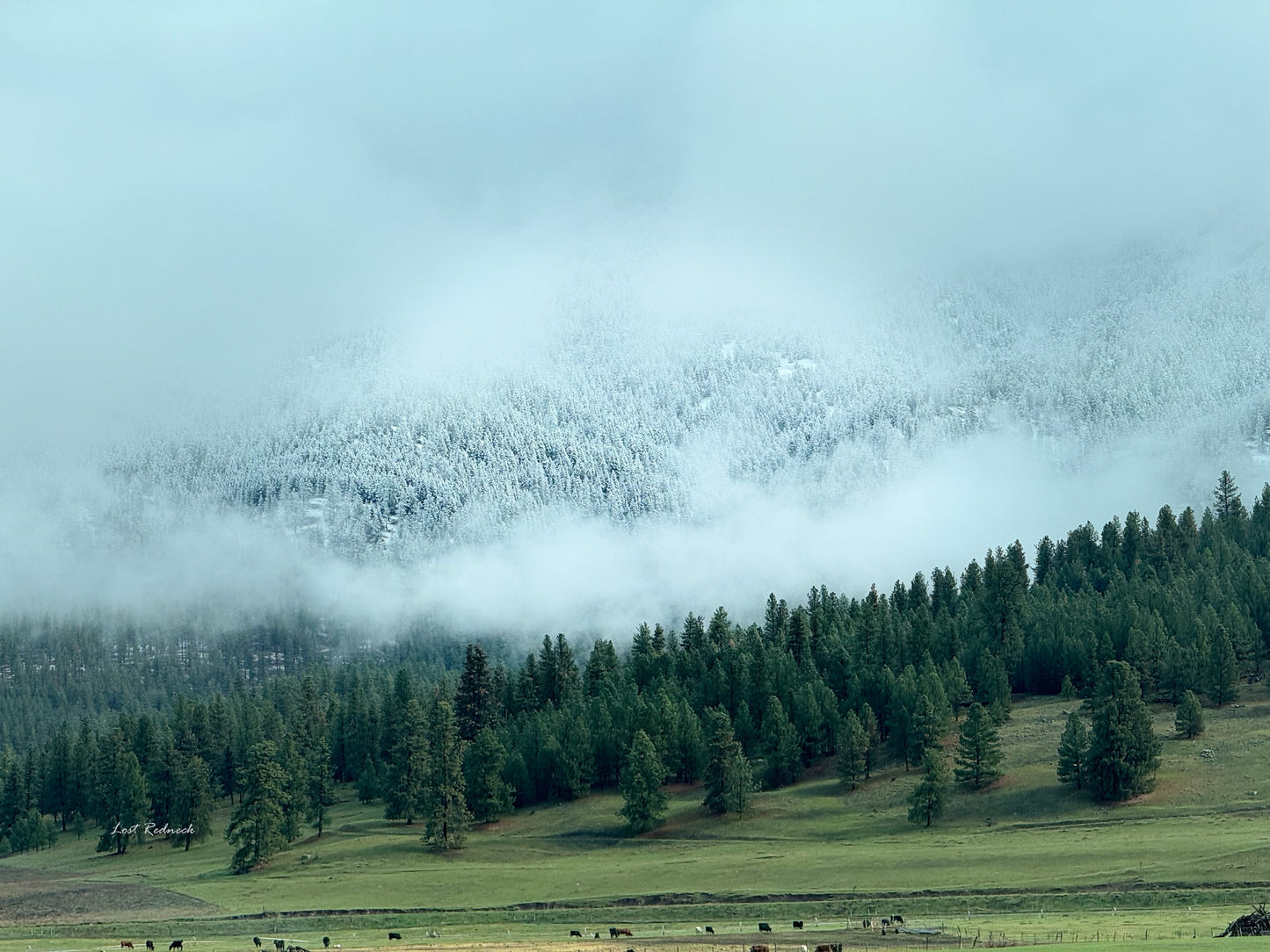 Winters Coming~ Missoula, Montana