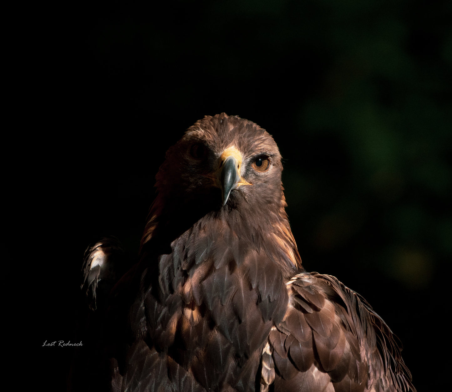 Two Face ~Sitka Alaska