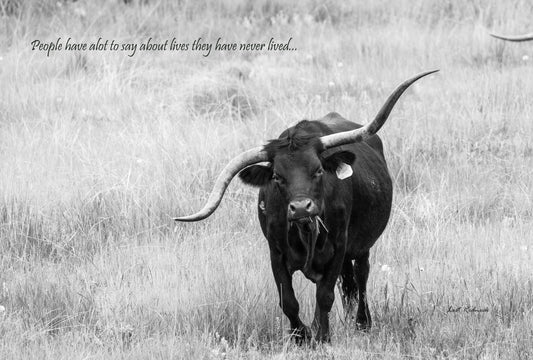 Lives never lived...Colorado