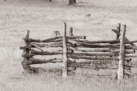 Fence 7