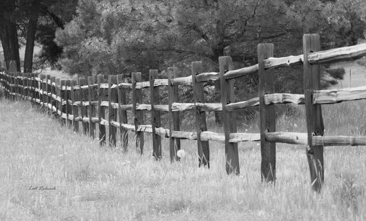 Fence 9