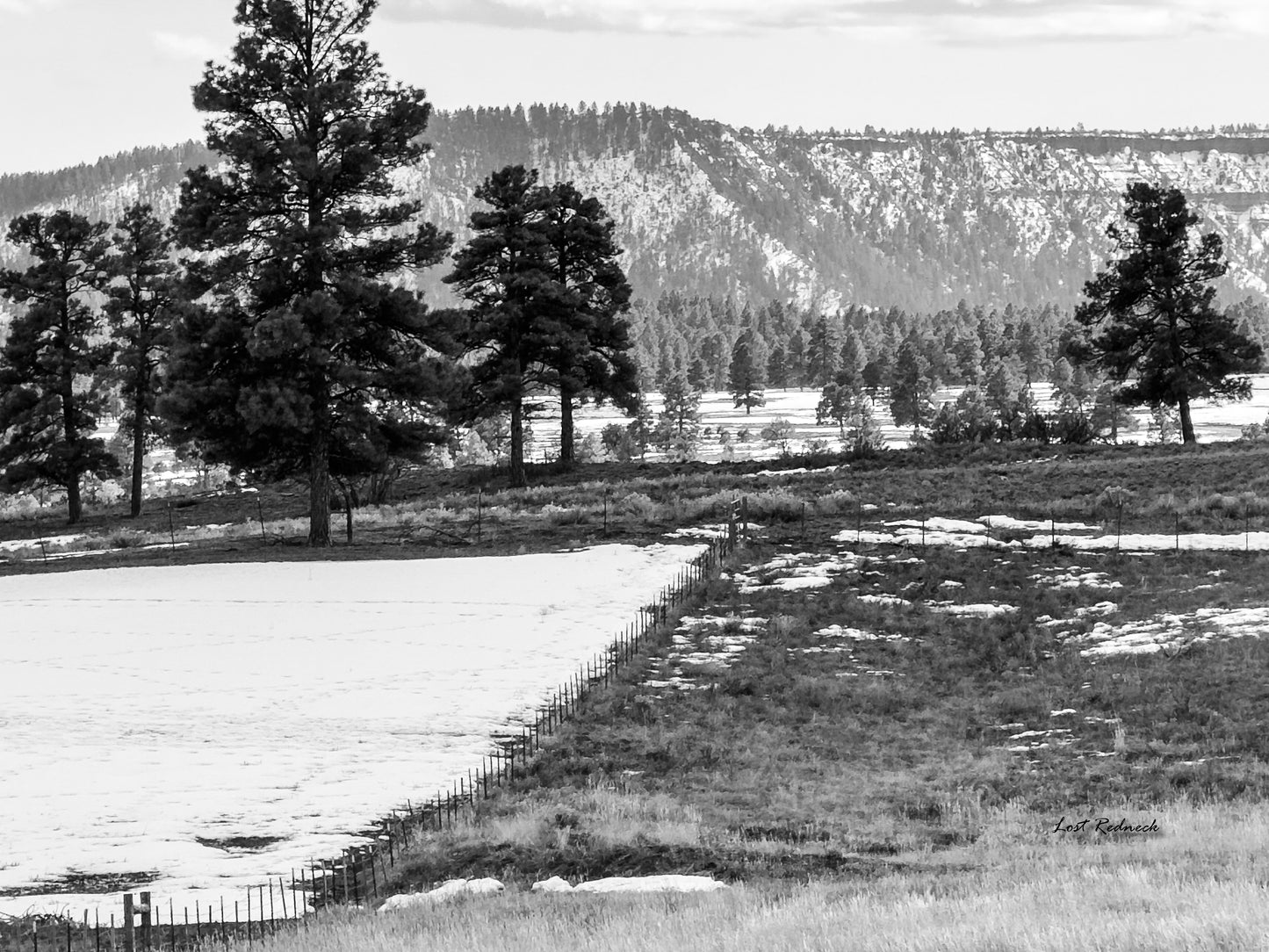 Snow Fence