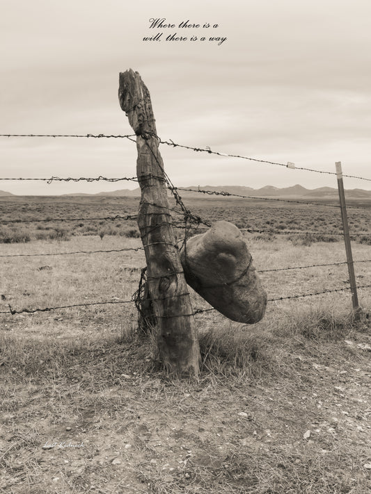 Where there is a will...