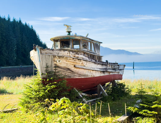 Out to pasture~Icy Strait Point, Alaska